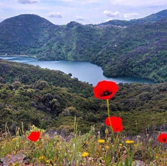 La Source 8 Ou 6 Couchages Villa Valle d'Alesani Dış mekan fotoğraf