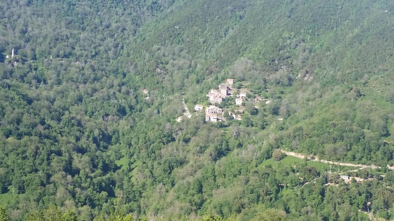 La Source 8 Ou 6 Couchages Villa Valle d'Alesani Dış mekan fotoğraf